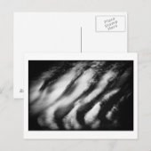 Carte Postale vautours tombé (Devant / Derrière)