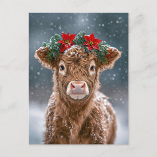 Carte Postale Veau dans la neige avec un couronne de poinsettias