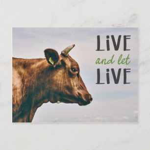 Carte Postale Végan "Live and let live" avec vache brune