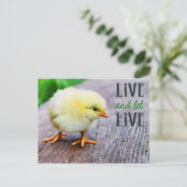 Carte Postale Vegan "Vis et laisse vivre" avec mignon poussin (Debout devant)