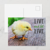 Carte Postale Vegan "Vis et laisse vivre" avec mignon poussin (Devant / Derrière)