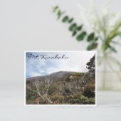 Carte Postale végétation kinabalu (Debout devant)