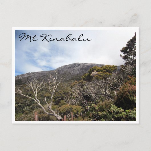 Carte Postale végétation kinabalu (Devant)