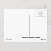 Carte Postale véhicule à feu japanese (Dos)