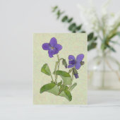 Carte Postale Veilchen (Debout devant)