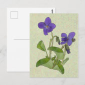 Carte Postale Veilchen (Devant / Derrière)