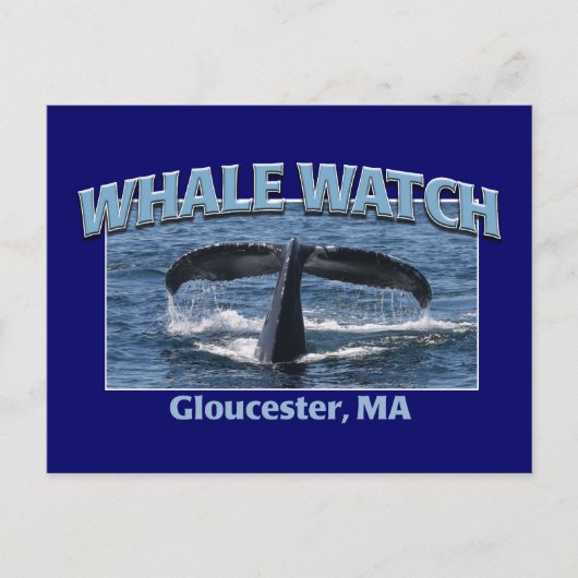 Carte Postale Veille baleine (Devant)