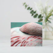 Carte Postale Veille rapide (Debout devant)