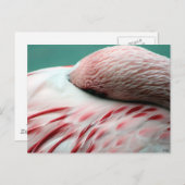 Carte Postale Veille rapide (Devant / Derrière)