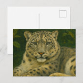 Carte Postale Veille silencieuse - Léopard des neiges en feu de  (Devant / Derrière)