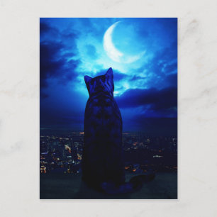 Carte Postale Veille urbaine