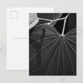 Carte Postale Veines d'une feuille (Devant / Derrière)