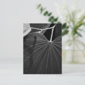 Carte Postale Veines d'une feuille (Debout devant)