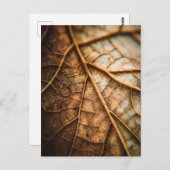 Carte Postale Veins of Autumn (Devant / Derrière)