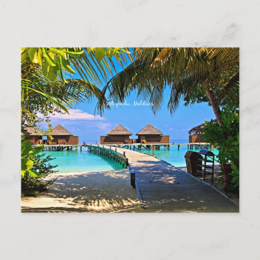 Carte Postale Veligandu, scène tropicale des Maldives (Devant)
