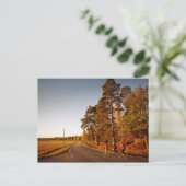 Carte Postale Vélo 3 (Debout devant)