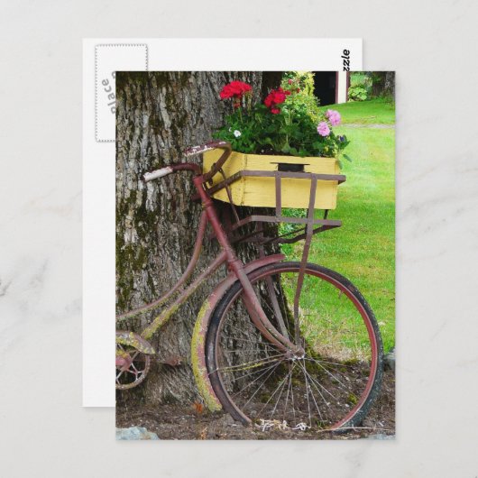 Carte Postale Vélo ancien ancien avec panier à fleurs (Devant / Derrière)