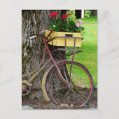 Carte Postale Vélo ancien ancien avec panier à fleurs (Devant)