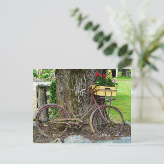 Carte Postale Vélo ancien ancien avec panier à fleurs (Debout devant)