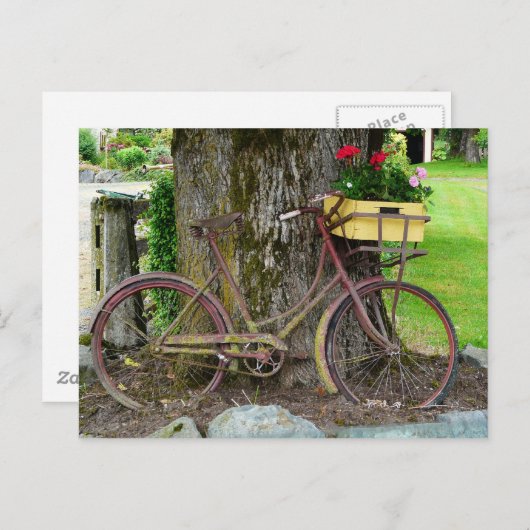 Carte Postale Vélo ancien ancien avec panier à fleurs (Devant / Derrière)