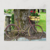Carte Postale Vélo ancien ancien avec panier à fleurs (Devant)