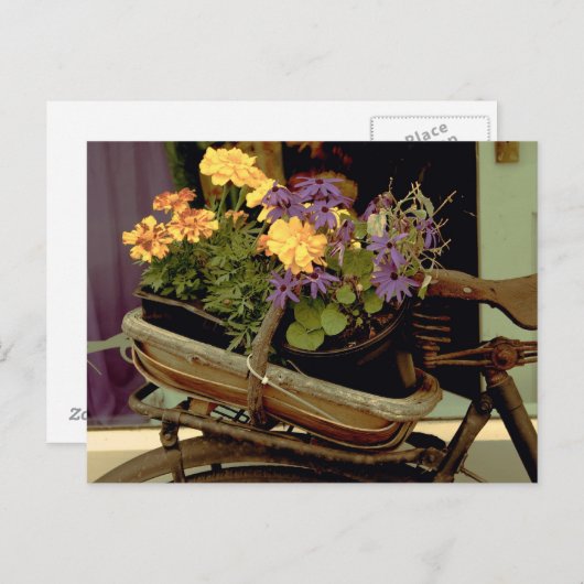 Carte Postale Vélo antique (Devant / Derrière)