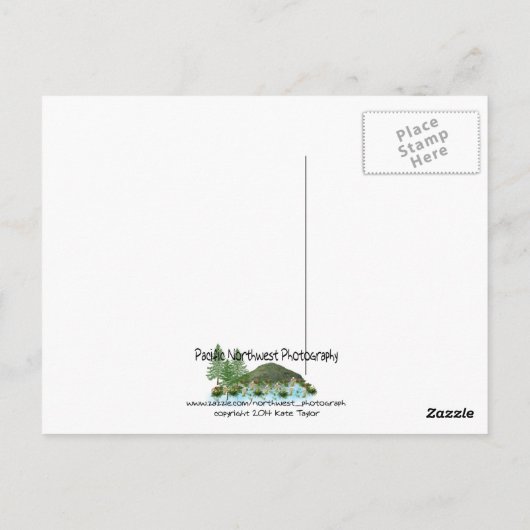 Carte Postale Vélo de plage (Dos)