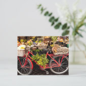 Carte Postale Vélo du marché agricole (Debout devant)