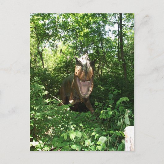 Carte Postale Velociraptor (Devant)
