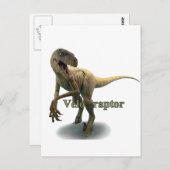 Carte Postale Velociraptor (Devant / Derrière)