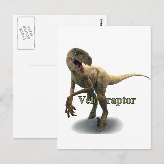 Carte Postale Velociraptor (Devant / Derrière)
