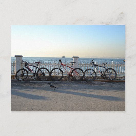 Carte Postale Vélos avec corneille (Devant)