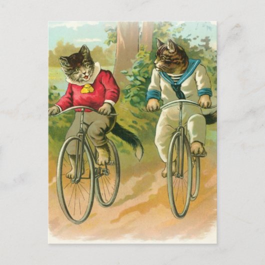 Carte Postale Vélos d'équitation chats (Devant)