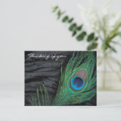 Carte Postale Velours noir Peacock Feather Still Life Photograph (Debout devant)