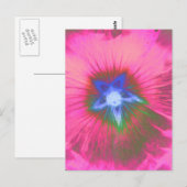 Carte postale velours rose Hollyhock (Devant / Derrière)