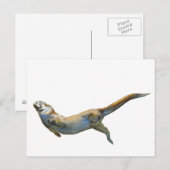 Carte Postale Velvet 2014 (Devant / Derrière)