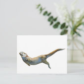 Carte Postale Velvet 2014 (Debout devant)