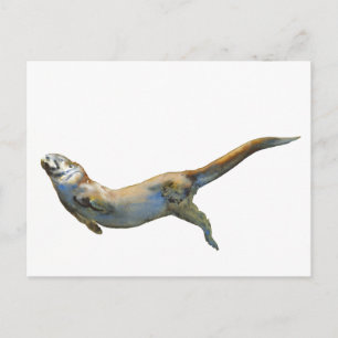 Carte Postale Velvet 2014