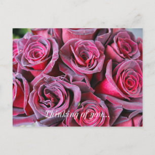 Carte postale "Velvet Beauty vous pense"