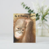 Carte Postale Vendredi (Debout devant)