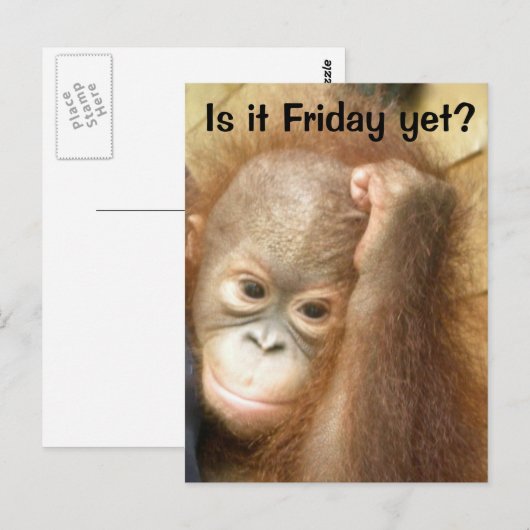 Carte Postale Vendredi (Devant / Derrière)