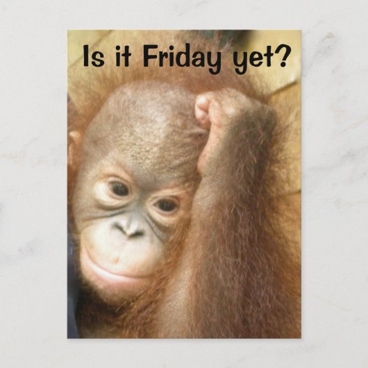 Carte Postale Vendredi (Devant)