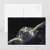 Carte Postale "Venez à vous" (Devant / Derrière)