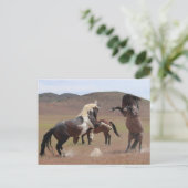 Carte Postale Venez en prendre (Debout devant)