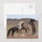 Carte Postale Venez en prendre (Devant / Derrière)