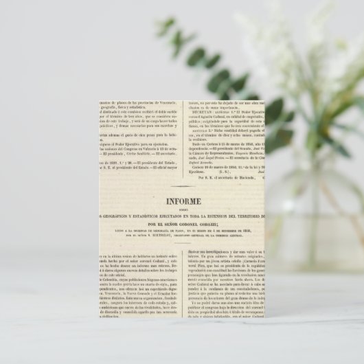 Carte Postale Venezuela 2 (Debout devant)