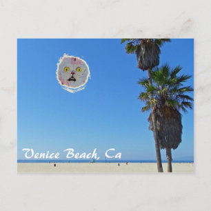 Carte postale Venice Beach amusante !