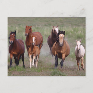 Carte Postale Venir À Toi