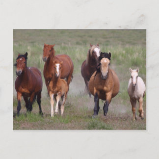 Carte Postale Venir À Toi