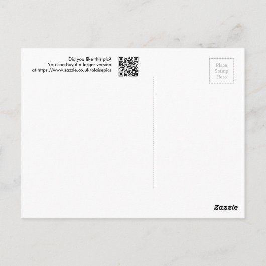 Carte Postale Venise Laguna (Dos)